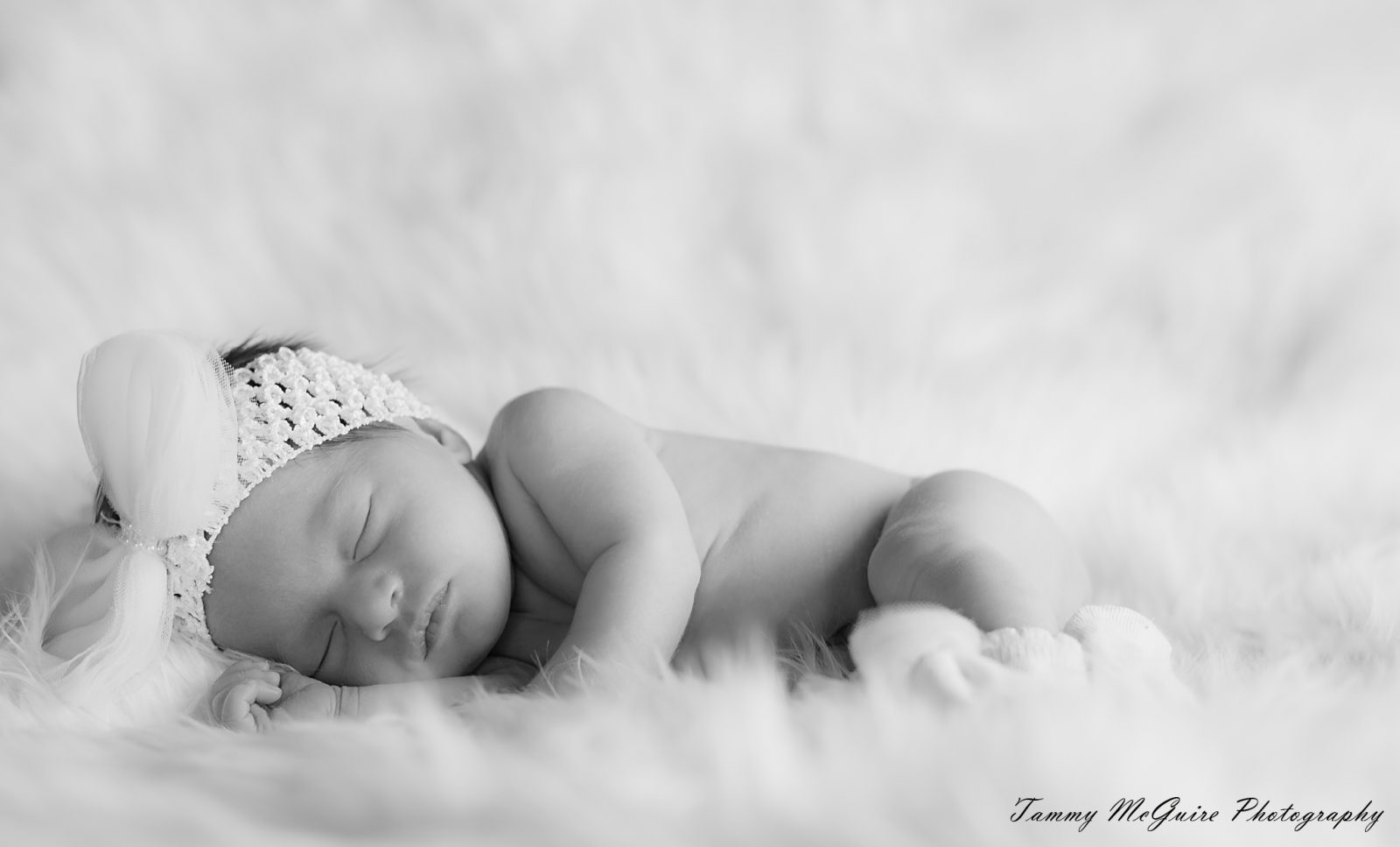 Newborn session