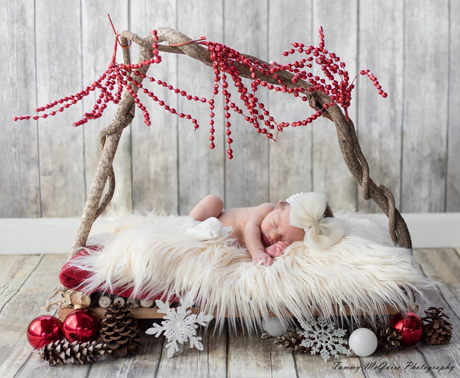 Newborn session