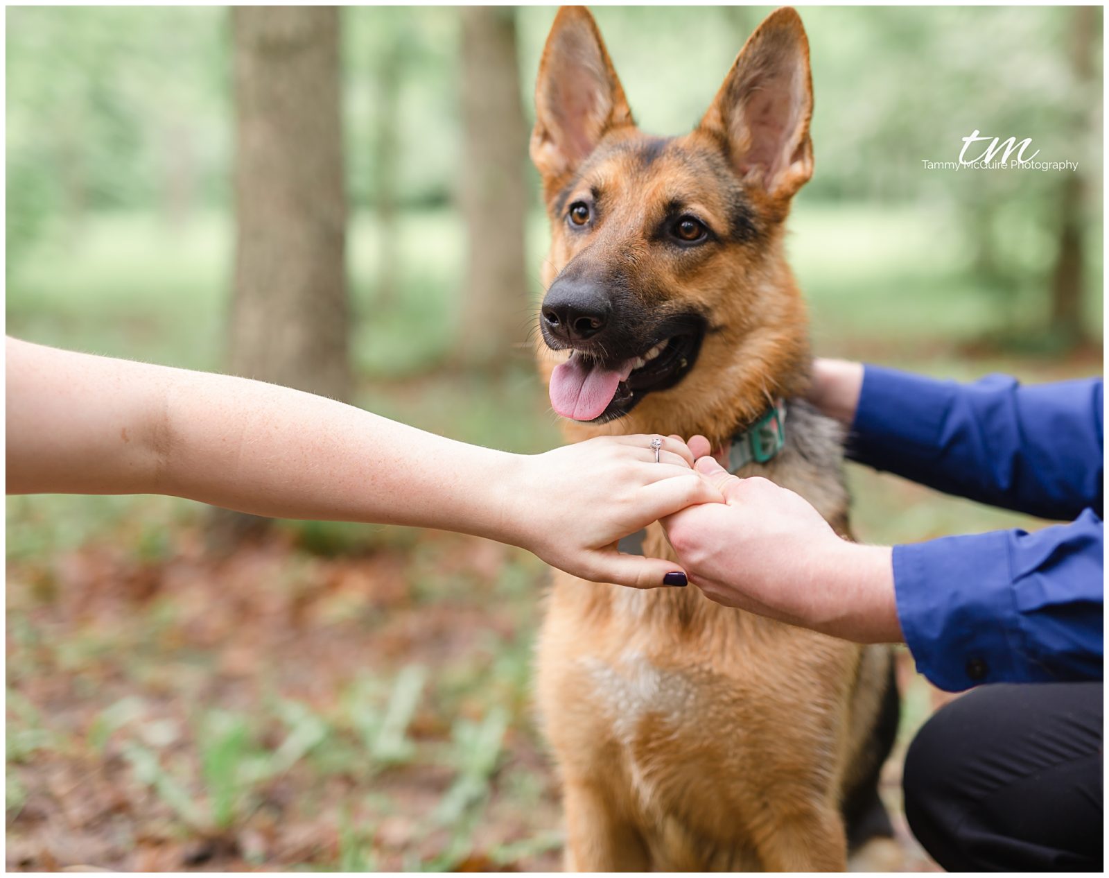 White Oak's Engagement Session