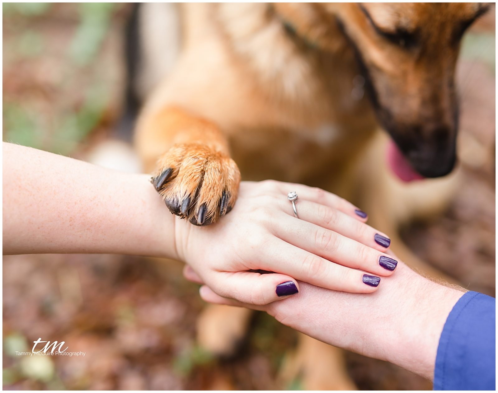 White Oak's Engagement Session