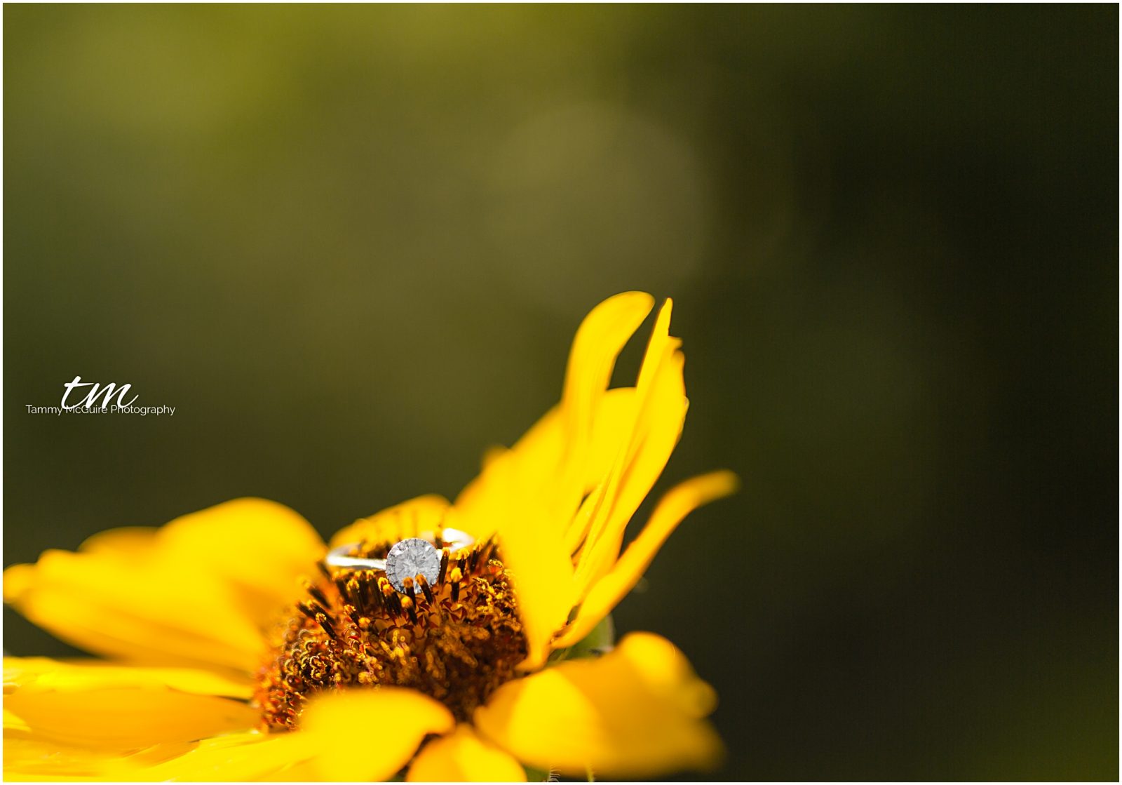 Wildflowers engagement session