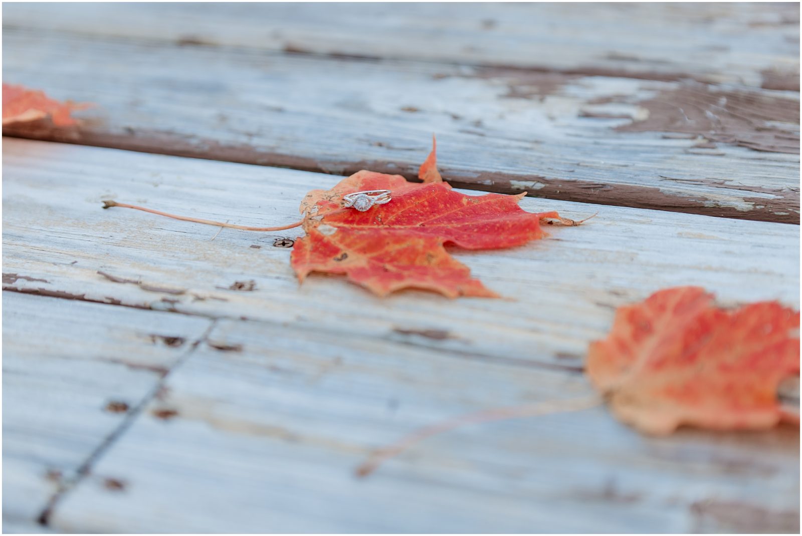 Dreamy Autumn Engagement Session 