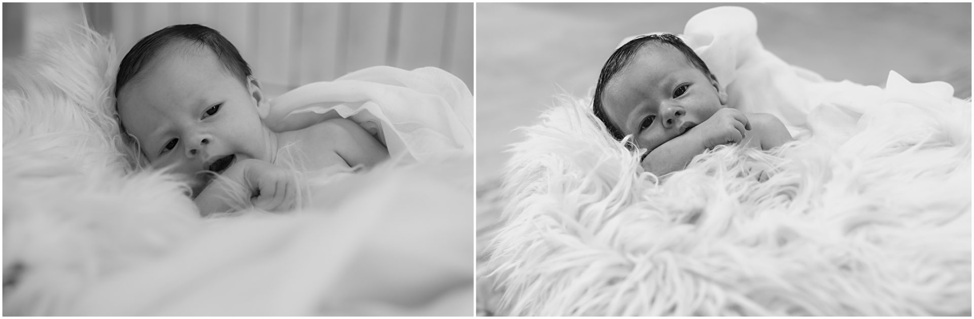 Newborn Session at White Oak's Studio