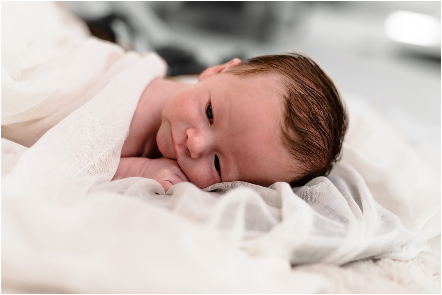 Newborn Session at White Oak's Studio