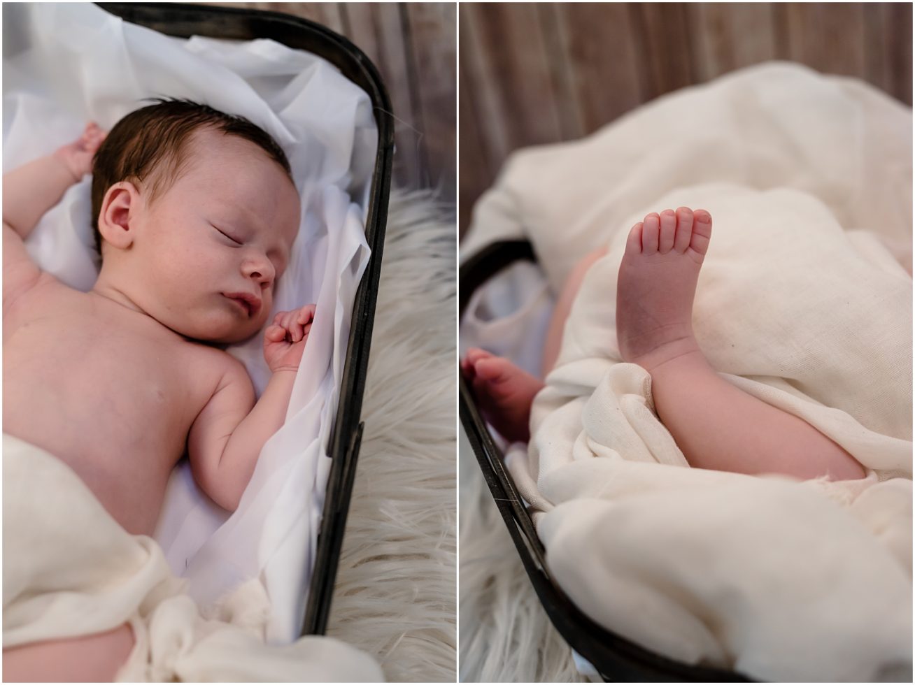 Newborn Session