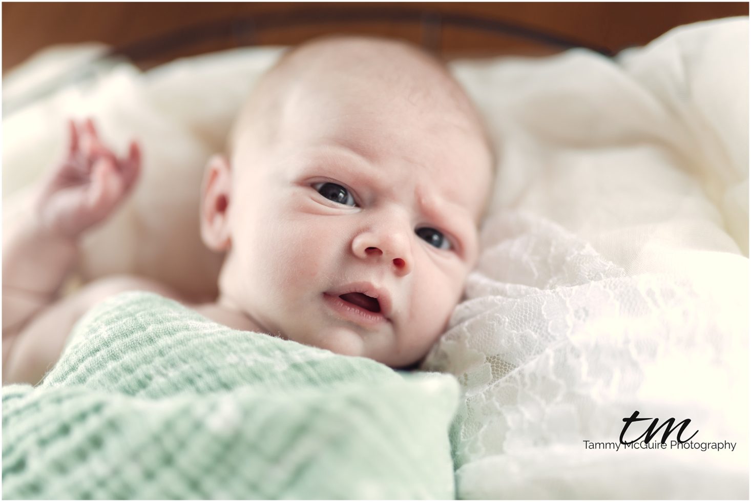 newborn photography