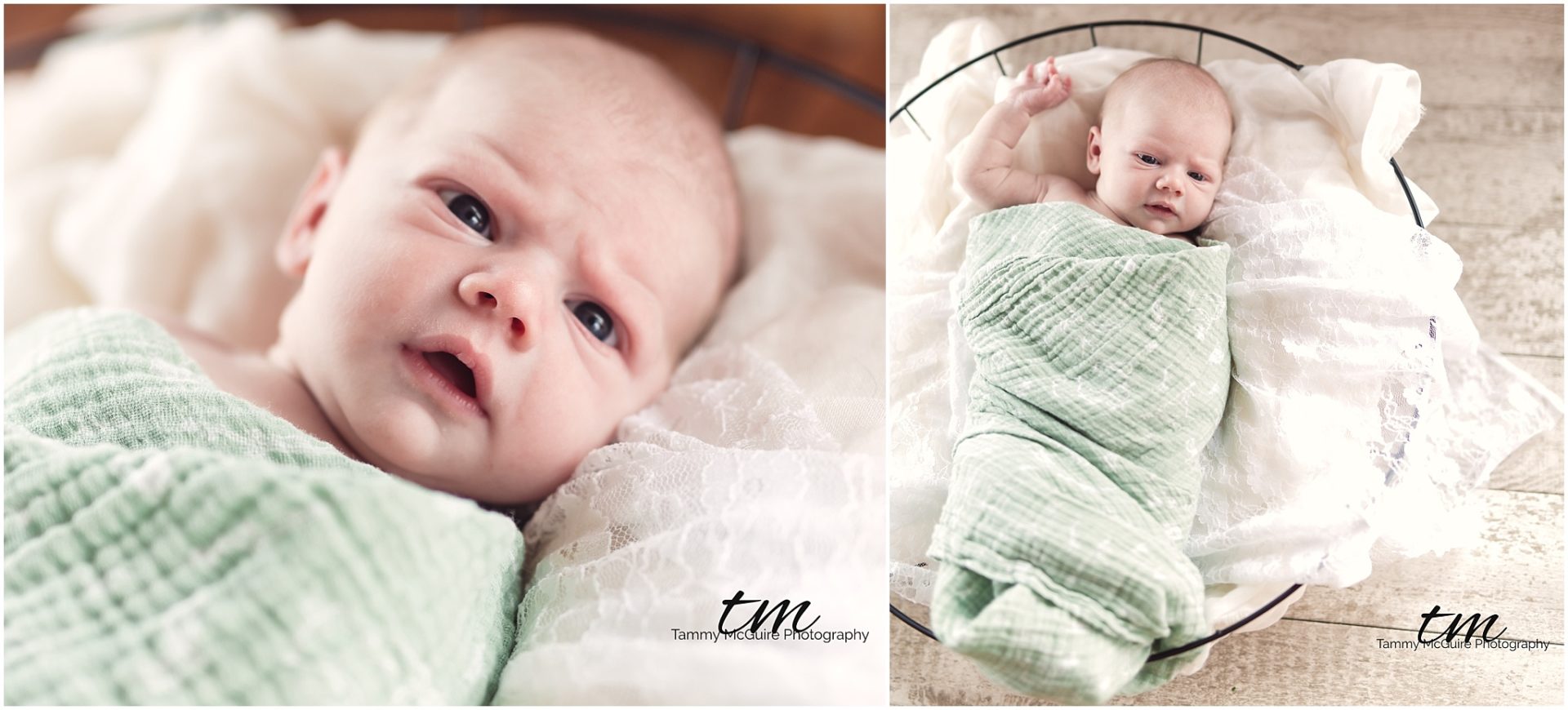 gwennan newborn session