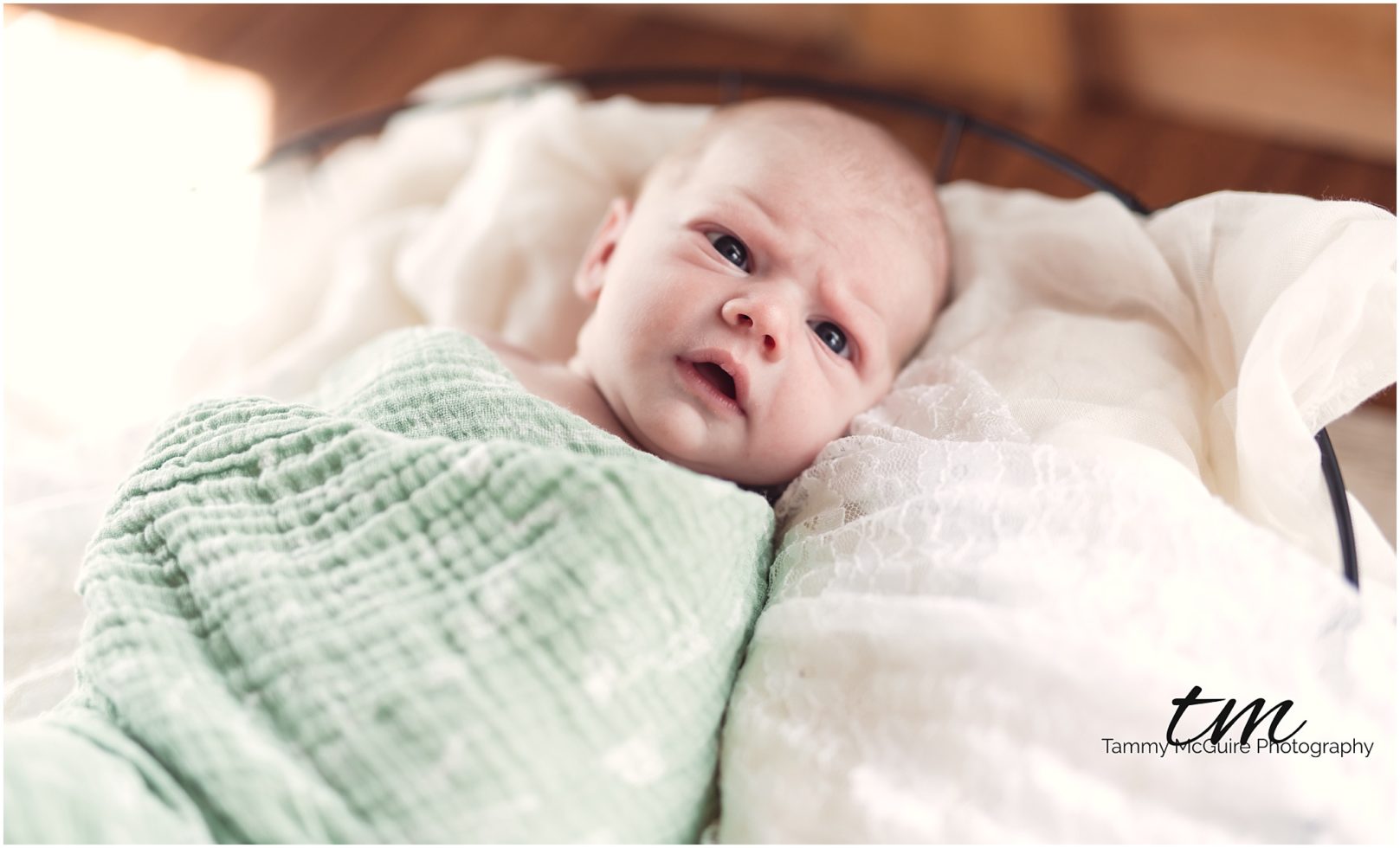 newborn photography