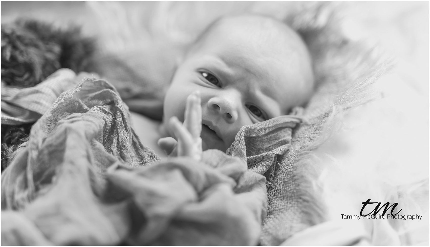 Gwennan Newborn Session