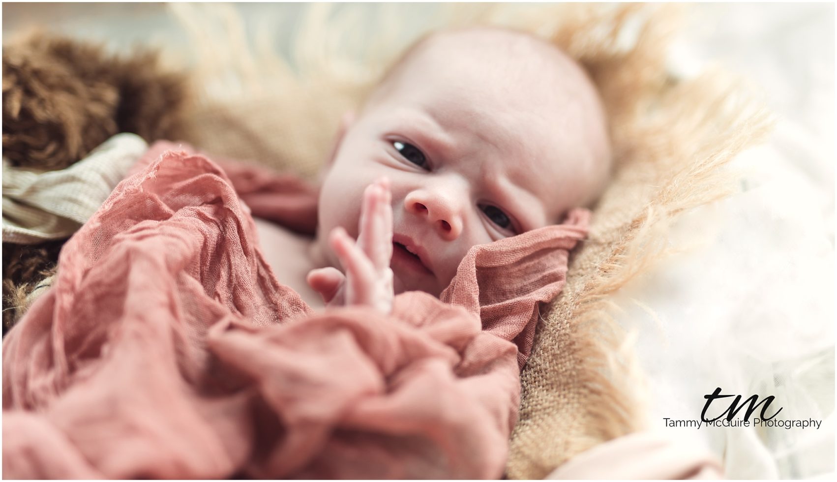 newborn session