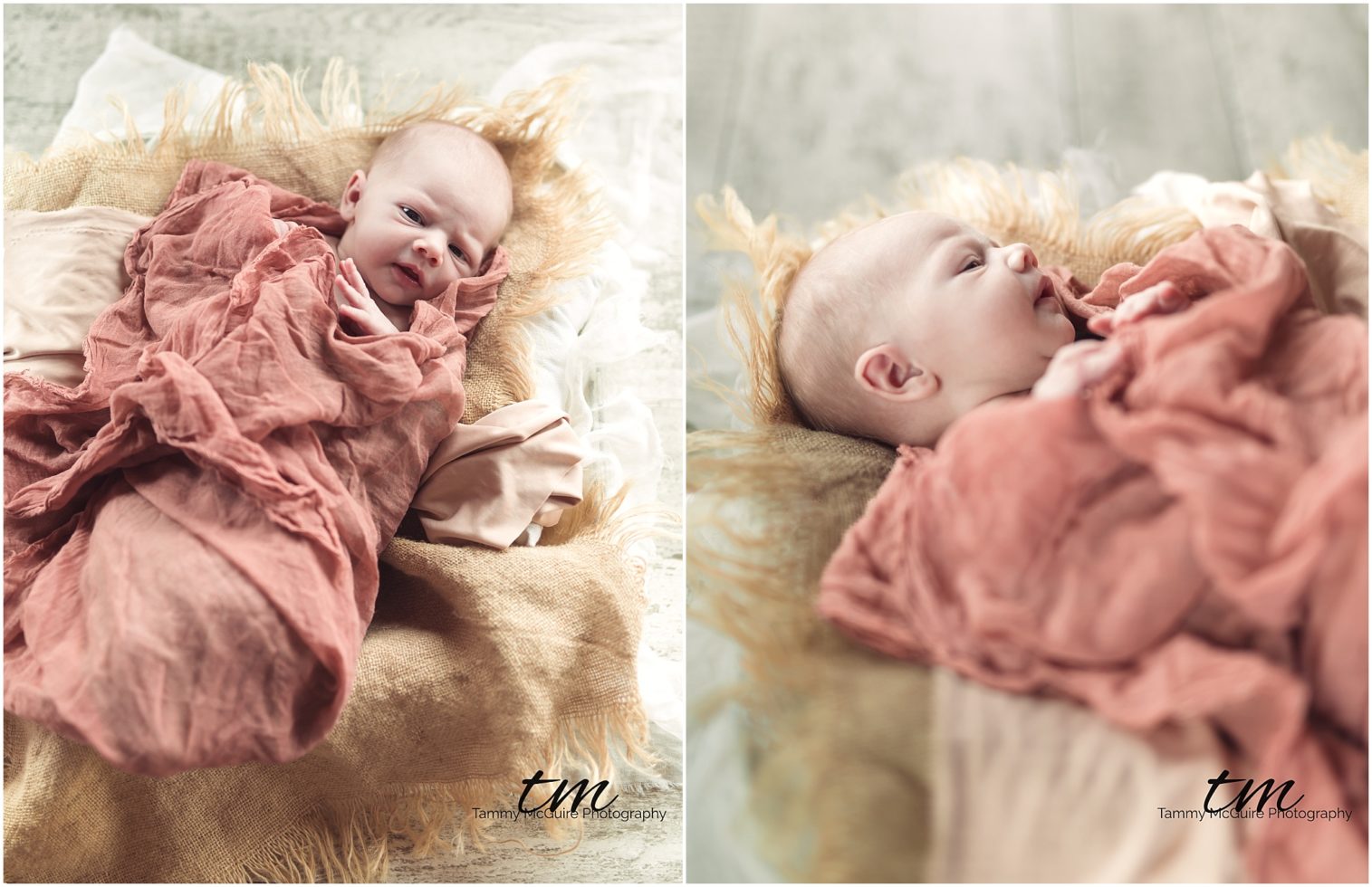 newborn photography