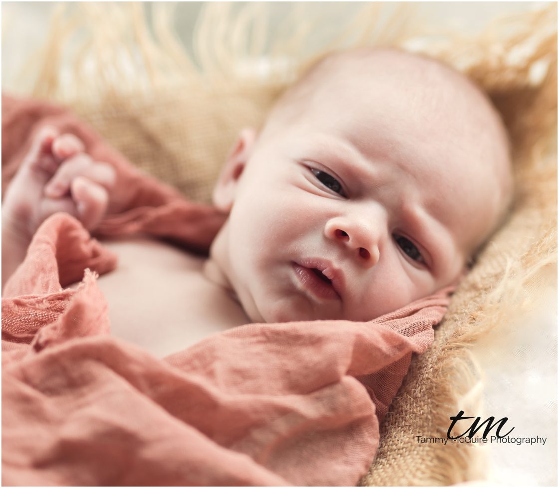 gwennan newborn session