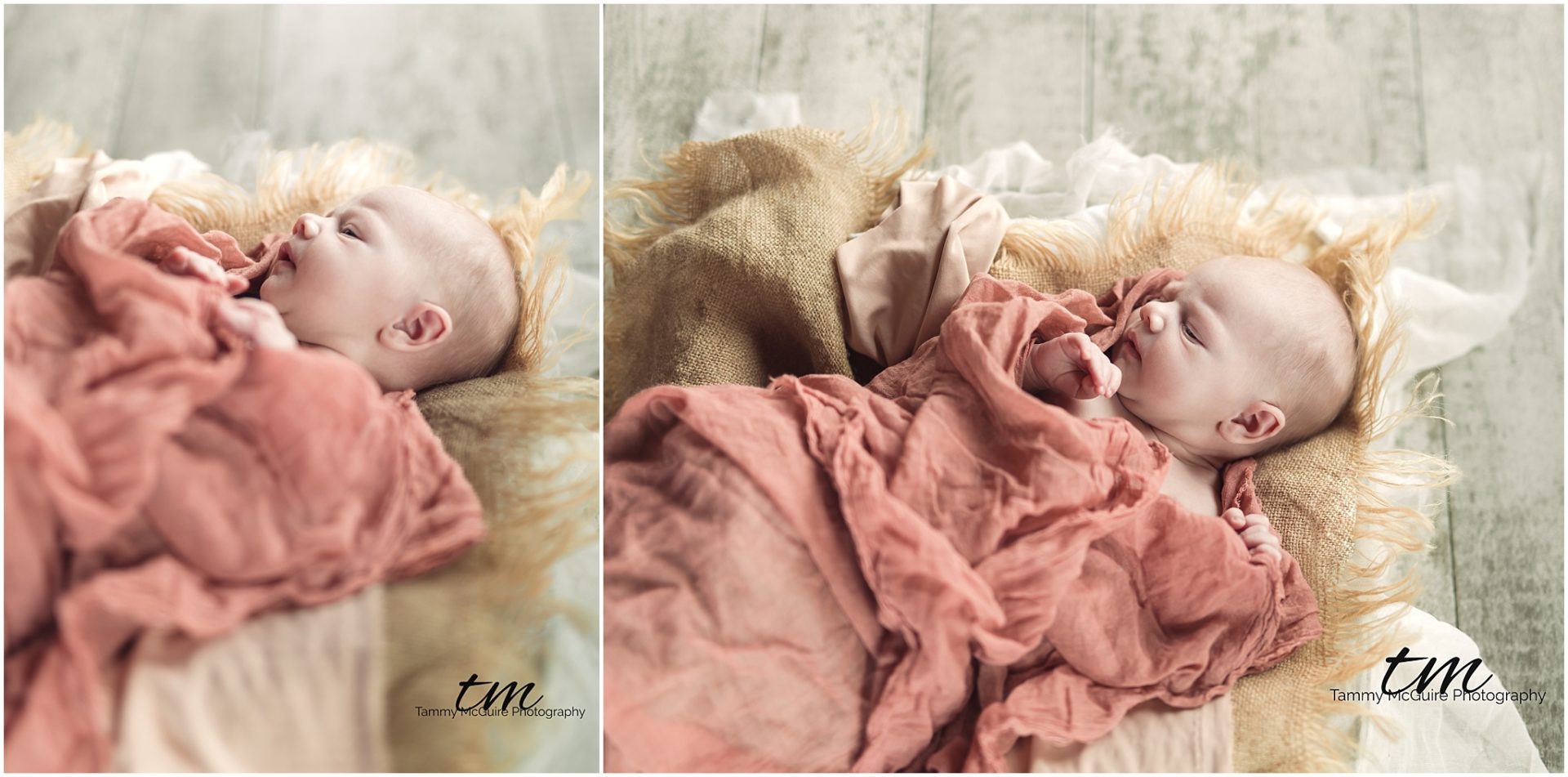 newborn photography