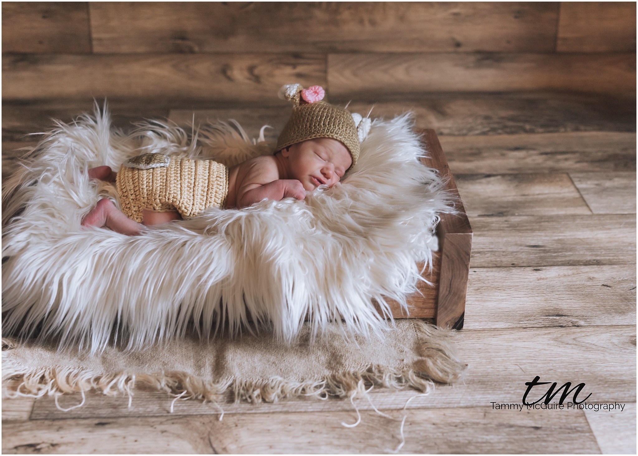 Savannah Newborn Session