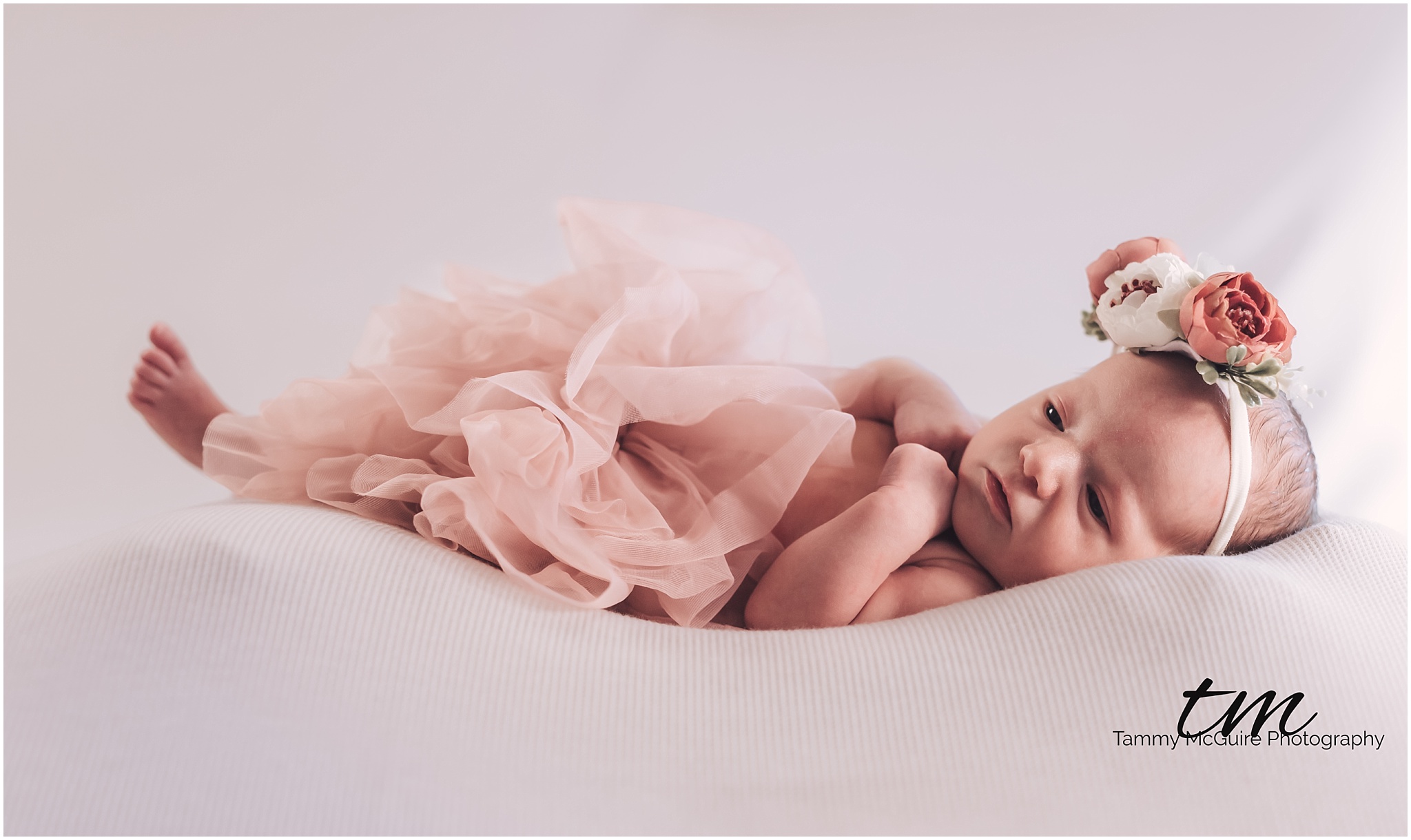 Savannah Newborn Session