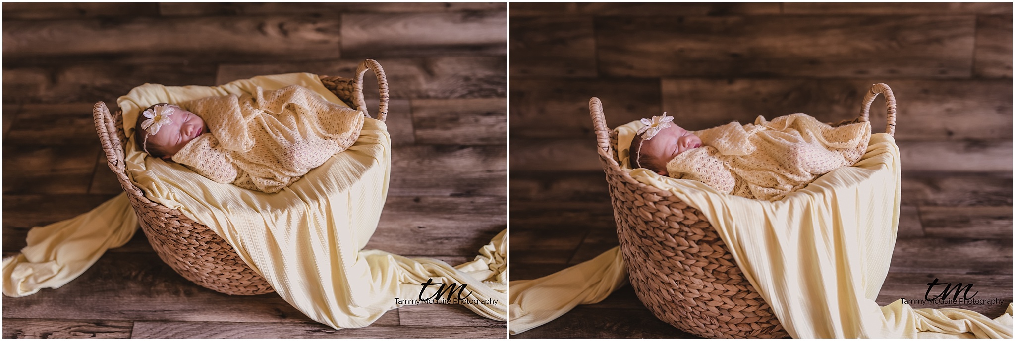 Savannah Newborn Session