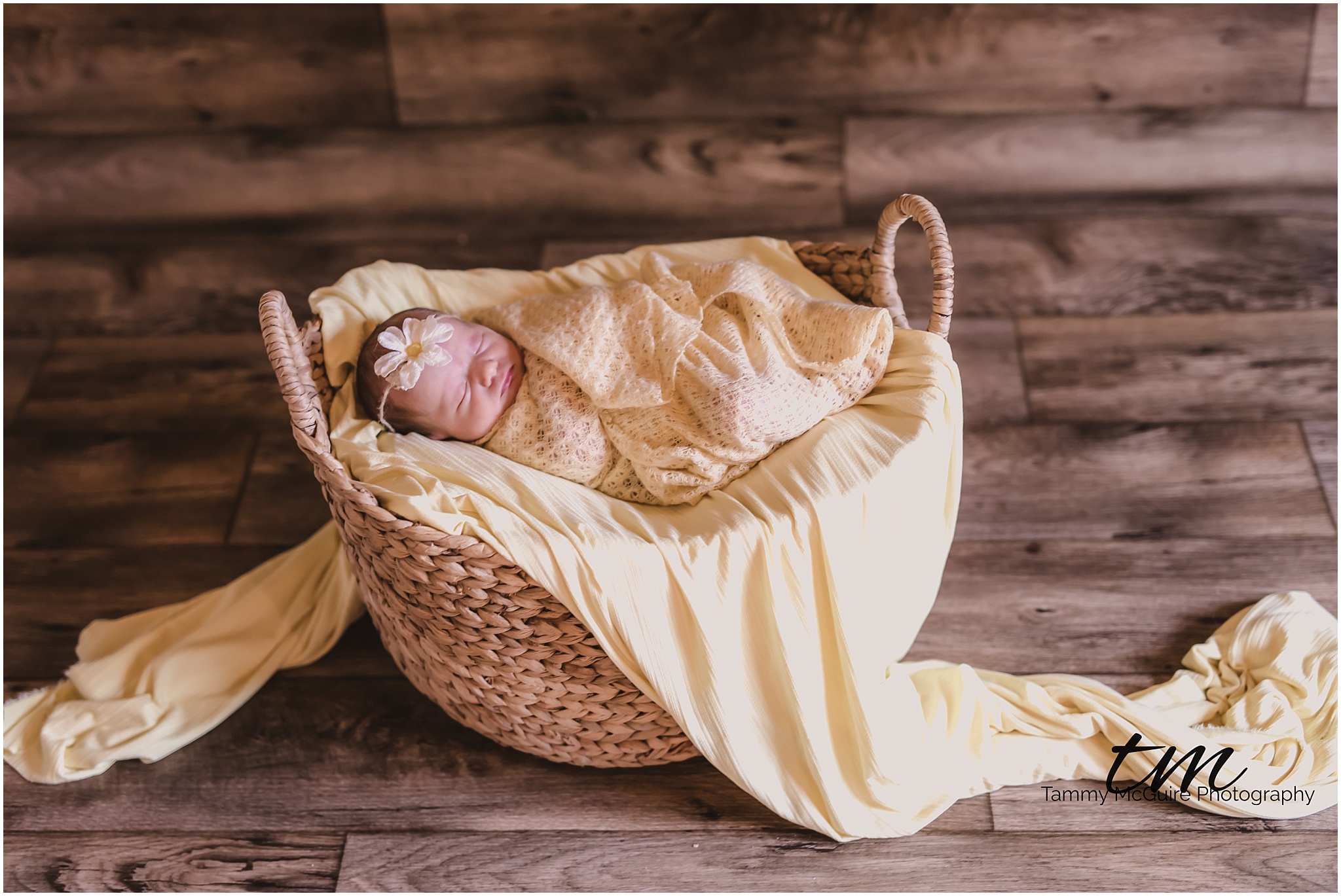 Savannah Newborn Session