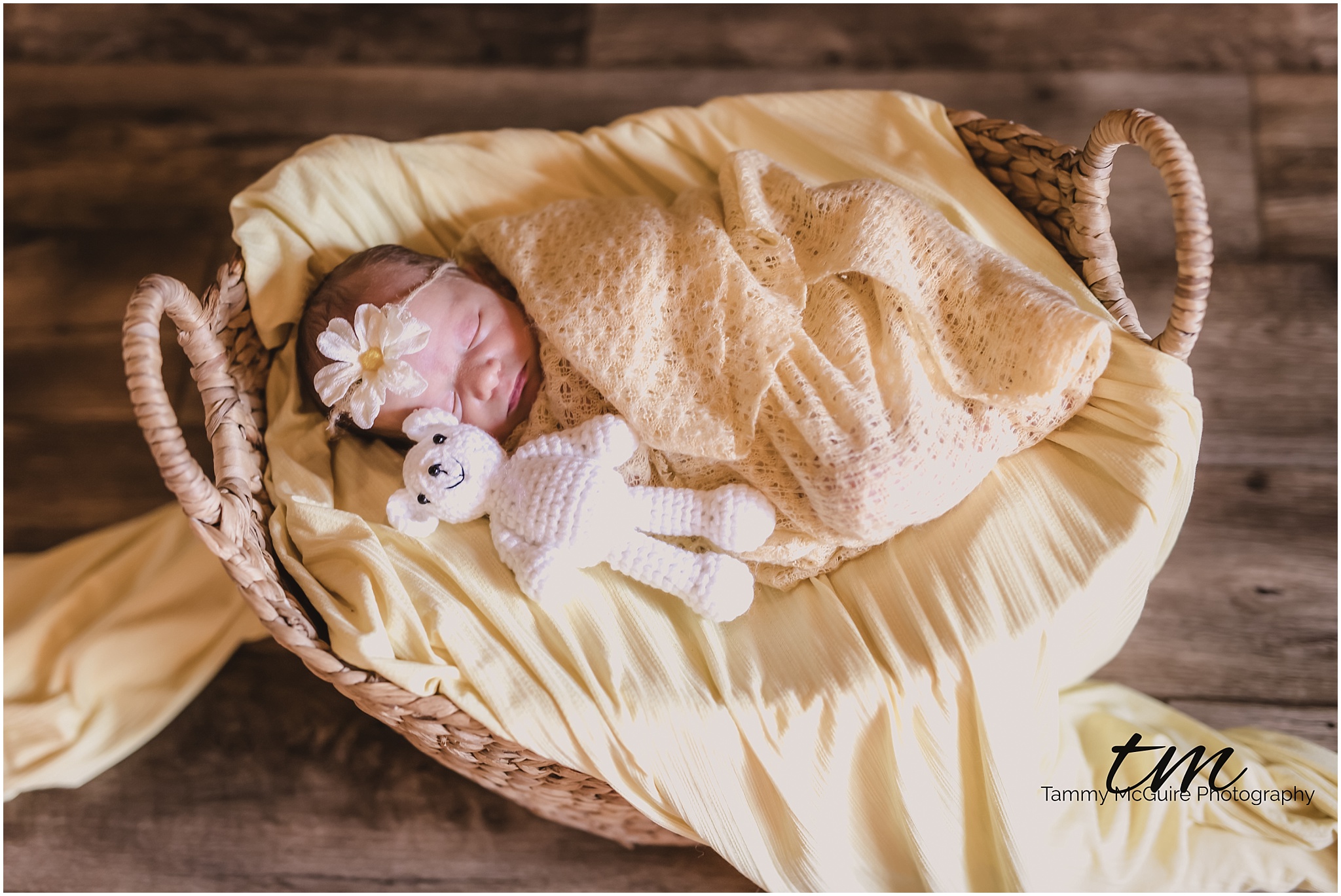 Savannah Newborn Session