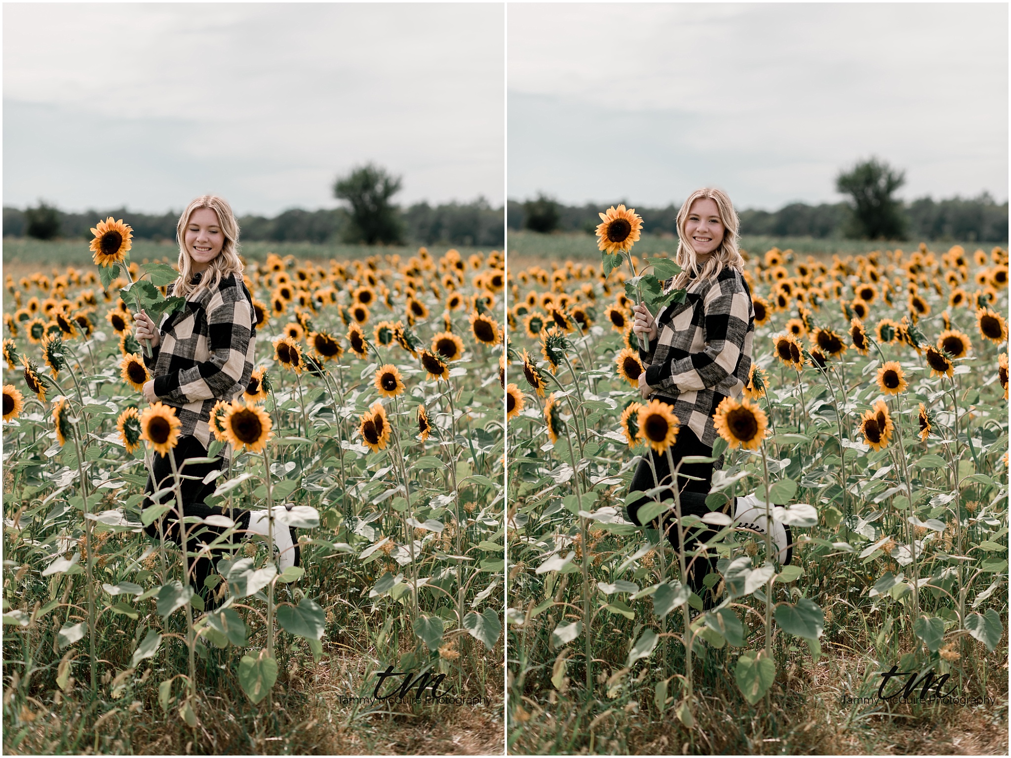 Sunflower senior session