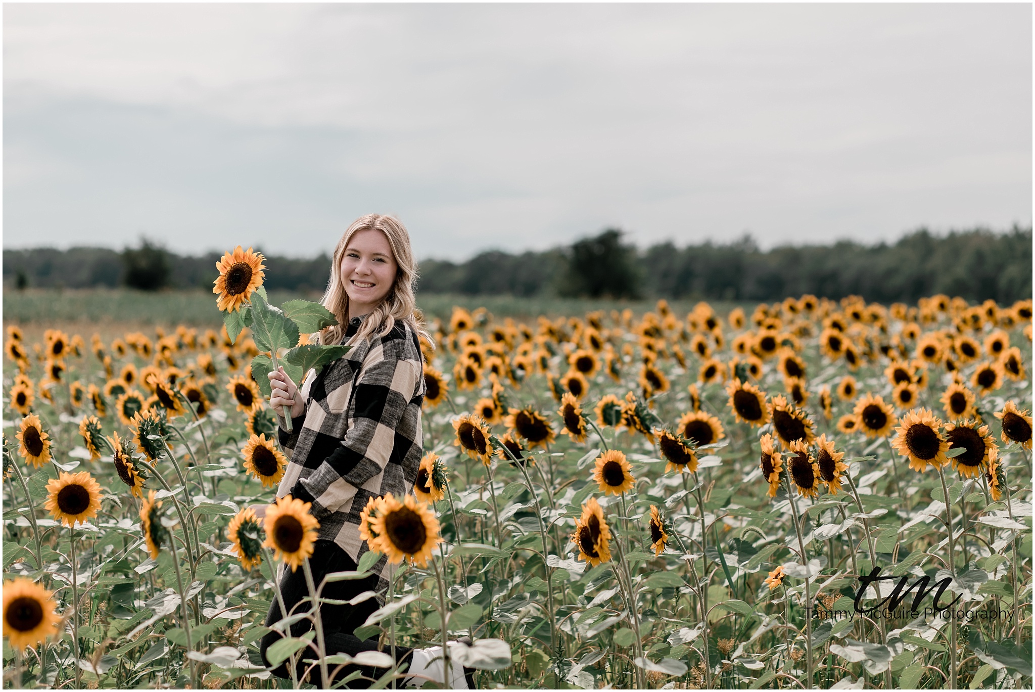 Sunflower senior session