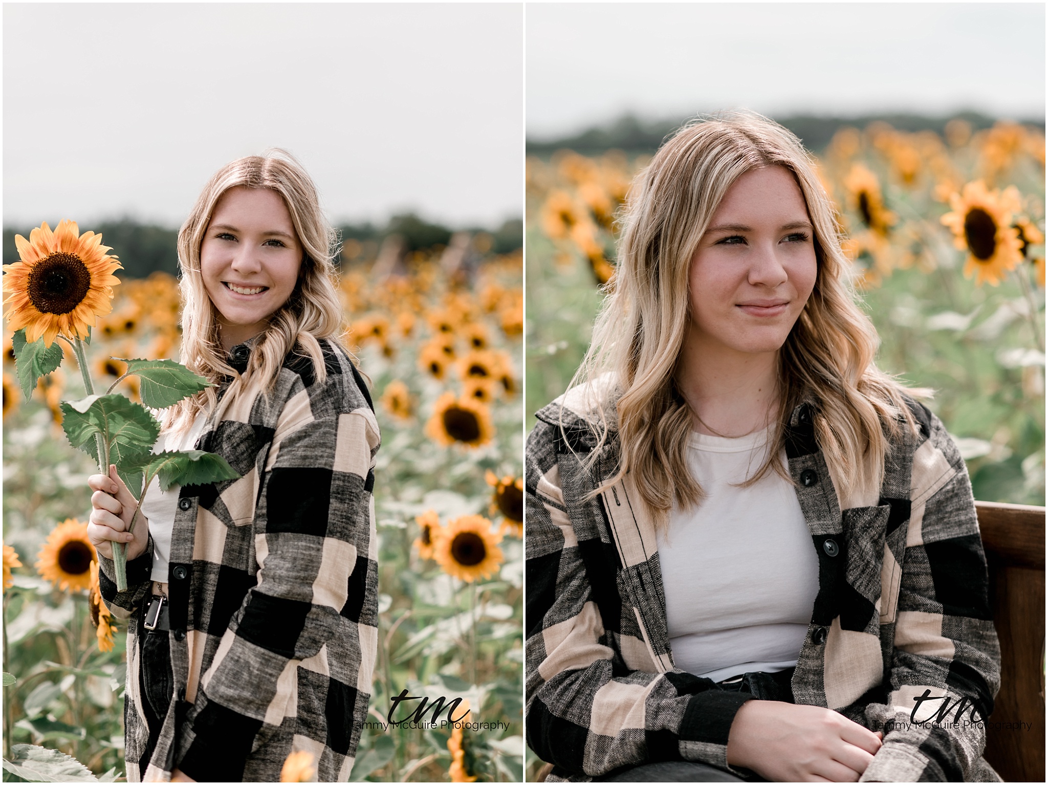 Sunflower senior session