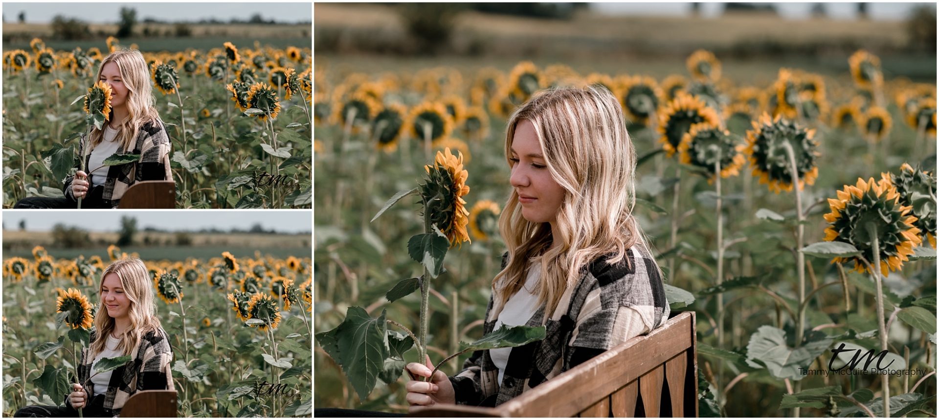 Sunflower senior session